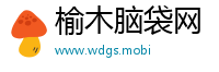 榆木脑袋网